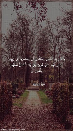 Al-An"aam Ayah 51 - Arabic wallpaper