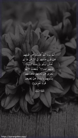 Al-An"aam Ayah 6 - Arabic wallpaper