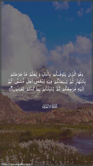 Al-An"aam Ayah 60 - Arabic wallpaper