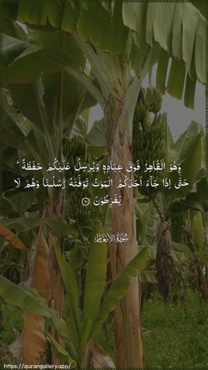 Al-An"aam Ayah 61 - Arabic wallpaper
