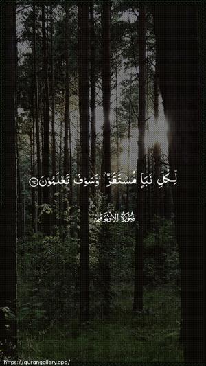Al-An"aam Ayah 67 - Arabic wallpaper