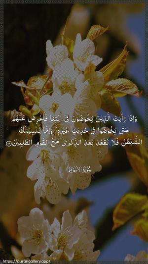 Al-An"aam Ayah 68 - Arabic wallpaper