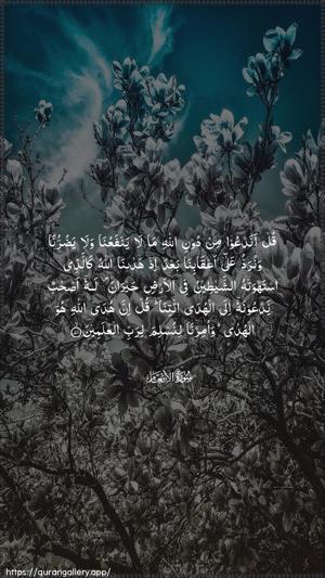 Al-An"aam Ayah 71 - Arabic wallpaper