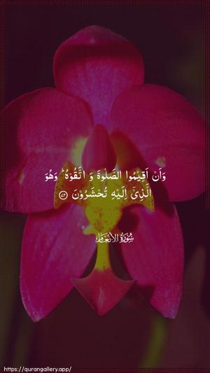 Al-An"aam Ayah 72 - Arabic wallpaper