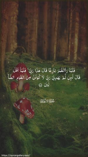 Al-An"aam Ayah 77 - Arabic wallpaper