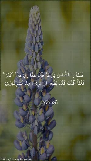 Al-An"aam Ayah 78 - Arabic wallpaper