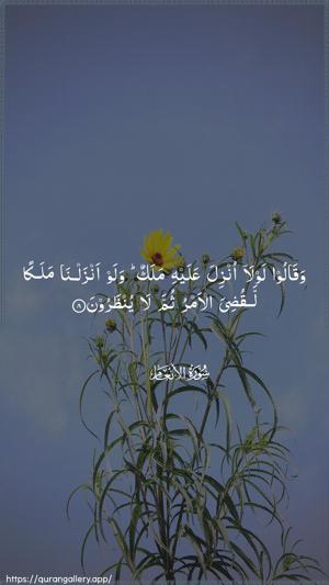 Al-An"aam Ayah 8 - Arabic wallpaper