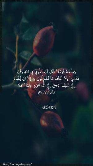 Al-An"aam Ayah 80 - Arabic wallpaper