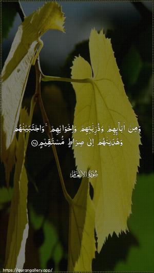 Al-An"aam Ayah 87 - Arabic wallpaper