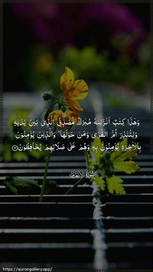 Al-An"aam Ayah 92 - Arabic wallpaper