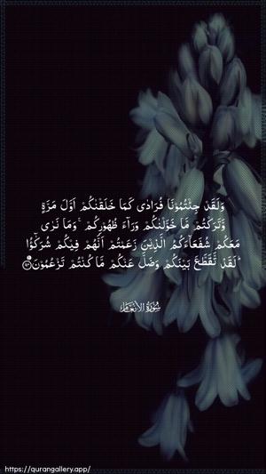 Al-An"aam Ayah 94 - Arabic wallpaper