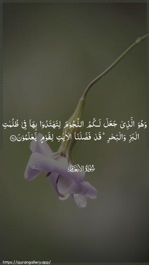Al-An"aam Ayah 97 - Arabic wallpaper