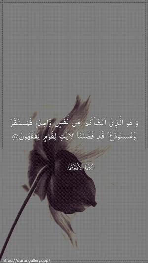 Al-An"aam Ayah 98 - Arabic wallpaper