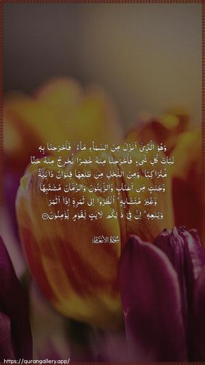 Al-An"aam Ayah 99 - Arabic wallpaper