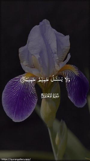 Al-Ma"aarij Ayah 10 - Arabic wallpaper