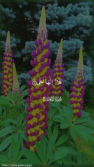 Al-Ma"aarij Ayah 15 - Arabic wallpaper