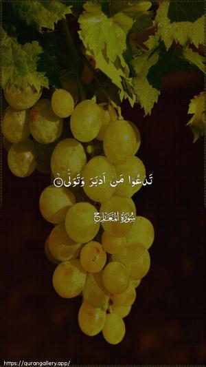 Al-Ma"aarij Ayah 17 - Arabic wallpaper