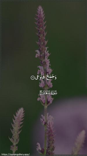 Al-Ma"aarij Ayah 18 - Arabic wallpaper