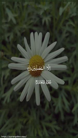 Al-Ma"aarij Ayah 22 - Arabic wallpaper