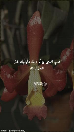 Al-Ma"aarij Ayah 31 - Arabic wallpaper