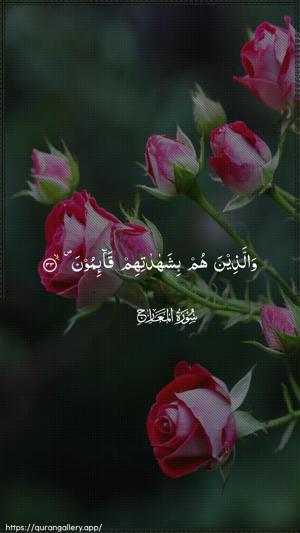 Al-Ma"aarij Ayah 33 - Arabic wallpaper