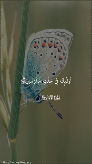 Al-Ma"aarij Ayah 35 - Arabic wallpaper