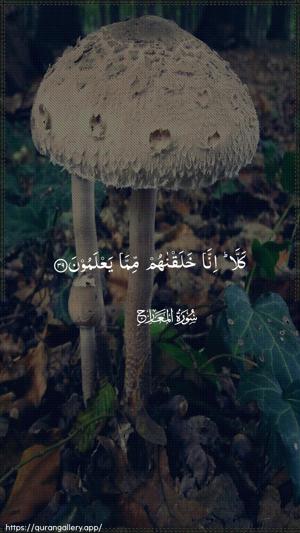 Al-Ma"aarij Ayah 39 - Arabic wallpaper