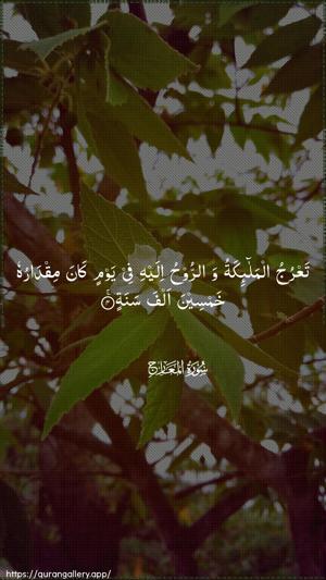 Al-Ma"aarij Ayah 4 - Arabic wallpaper
