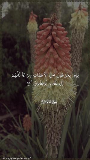 Al-Ma"aarij Ayah 43 - Arabic wallpaper