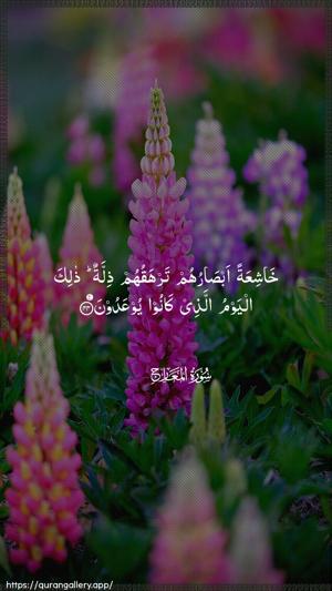 Al-Ma"aarij Ayah 44 - Arabic wallpaper