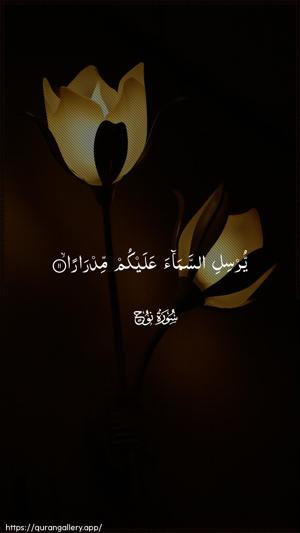 Nooh Ayah 11 - Arabic wallpaper