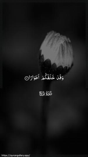 Nooh Ayah 14 - Arabic wallpaper