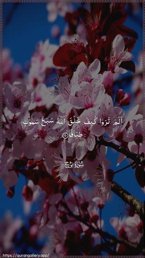 Nooh Ayah 15 - Arabic wallpaper