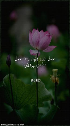 Nooh Ayah 16 - Arabic wallpaper