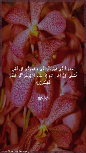 Nooh Ayah 4 - Arabic wallpaper