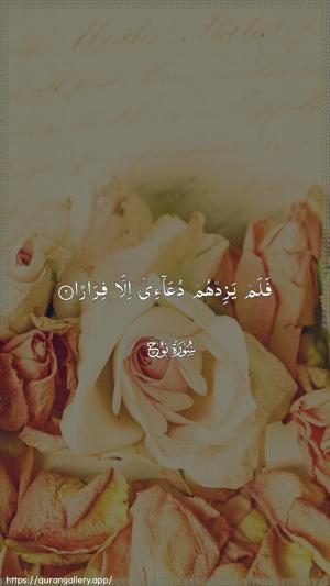 Nooh Ayah 6 - Arabic wallpaper