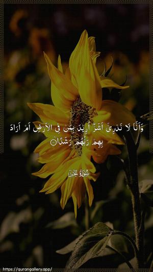 Al-Jinn Ayah 10 - Arabic wallpaper