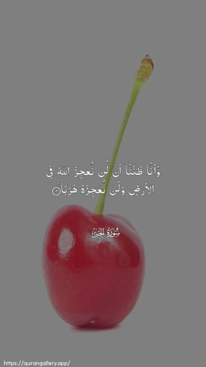 Al-Jinn Ayah 12 - Arabic wallpaper