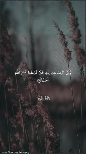 Al-Jinn Ayah 18 - Arabic wallpaper