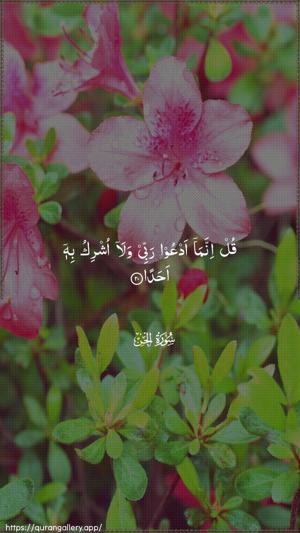 Al-Jinn Ayah 20 - Arabic wallpaper