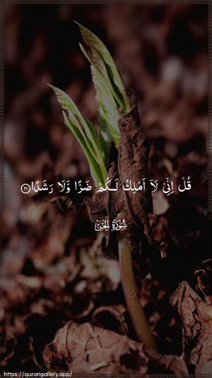 Al-Jinn Ayah 21 - Arabic wallpaper