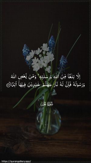 Al-Jinn Ayah 23 - Arabic wallpaper