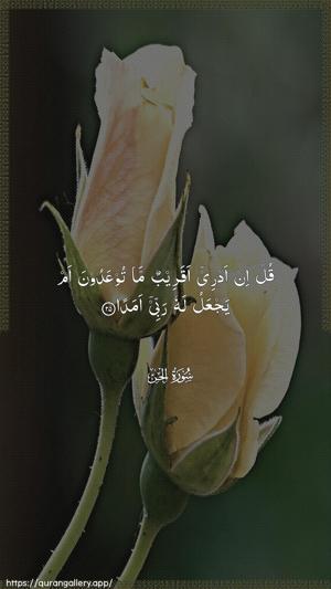 Al-Jinn Ayah 25 - Arabic wallpaper