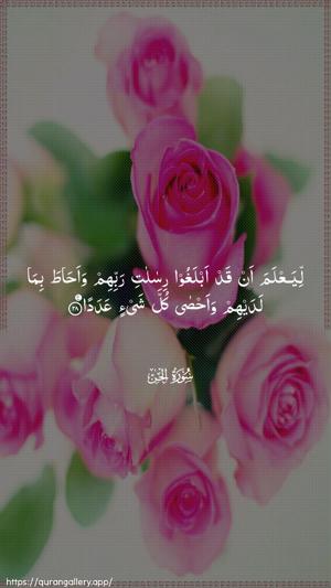 Al-Jinn Ayah 28 - Arabic wallpaper