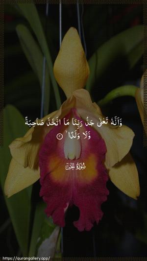 Al-Jinn Ayah 3 - Arabic wallpaper