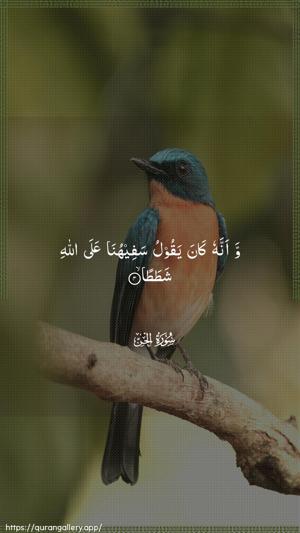 Al-Jinn Ayah 4 - Arabic wallpaper