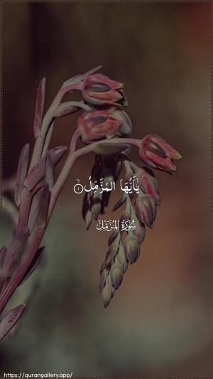 Al-Muzzammil Ayah 1 - Arabic wallpaper
