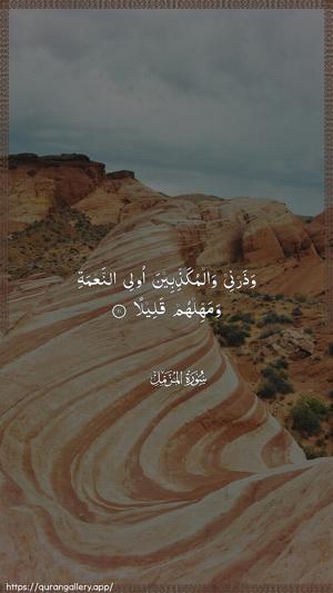 Al-Muzzammil Ayah 11 - Arabic wallpaper