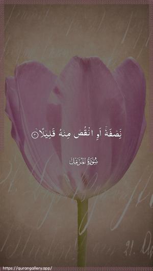 Al-Muzzammil Ayah 3 - Arabic wallpaper