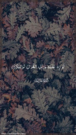 Al-Muzzammil Ayah 4 - Arabic wallpaper